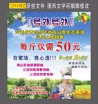 原生态油茶