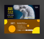 宠物代金券