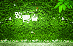 致青春绿叶背景