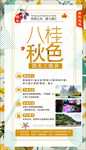 桂林旅游 八桂秋色