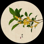 桂花