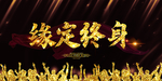 缘定终身
