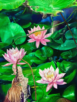 荷花油画