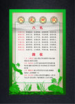绿色荷花版八礼四仪