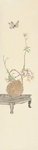 装饰画古典蝴蝶