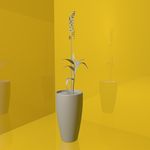 花草模型 花盆模型 绿叶 植物