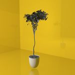 花草模型 花盆模型 绿叶 植物