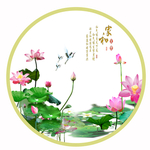 荷花