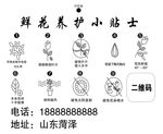 鲜花养花注意事项