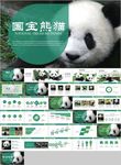 保护动物吃竹子国宝熊猫野生动物
