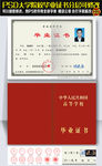 大学毕业证模板