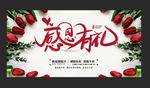 感恩节