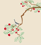 梅花 水果 树枝 鸟 叶子