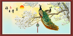 孔雀图