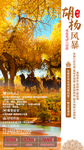 西北胡杨林旅游海报