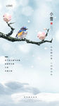 小雪