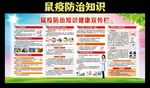 鼠疫宣传栏