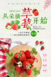 草莓海报