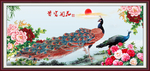 花开富贵
