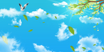 天空