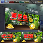 菠萝蜜