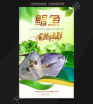 鲳鱼