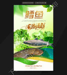 鳕鱼