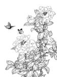 茶花白描