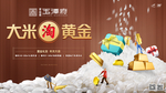 大米淘金