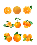 橙子