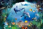 海底世界