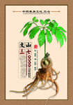 三七海报