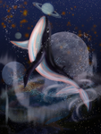 海豚星空