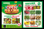 蔬菜水果店开业活动单页