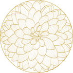 莲花 金莲花 国画莲花 莲花国