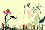 兰花