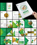 绿色渐变农业农产品清新健康画册
