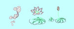荷花 莲花