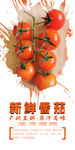小西红柿