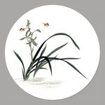兰花国画