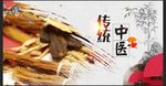 传统中医