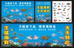 海鲜广告