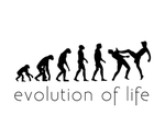 生活的进化