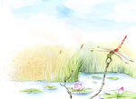 蜻蜓点水