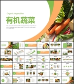有机蔬菜PPT