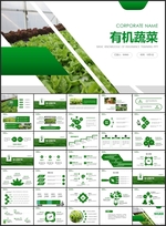 绿色有机蔬菜PPT
