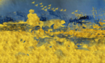 抽象油画