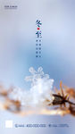 冬至 雪