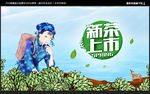 新茶上市