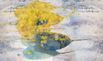 抽象油画